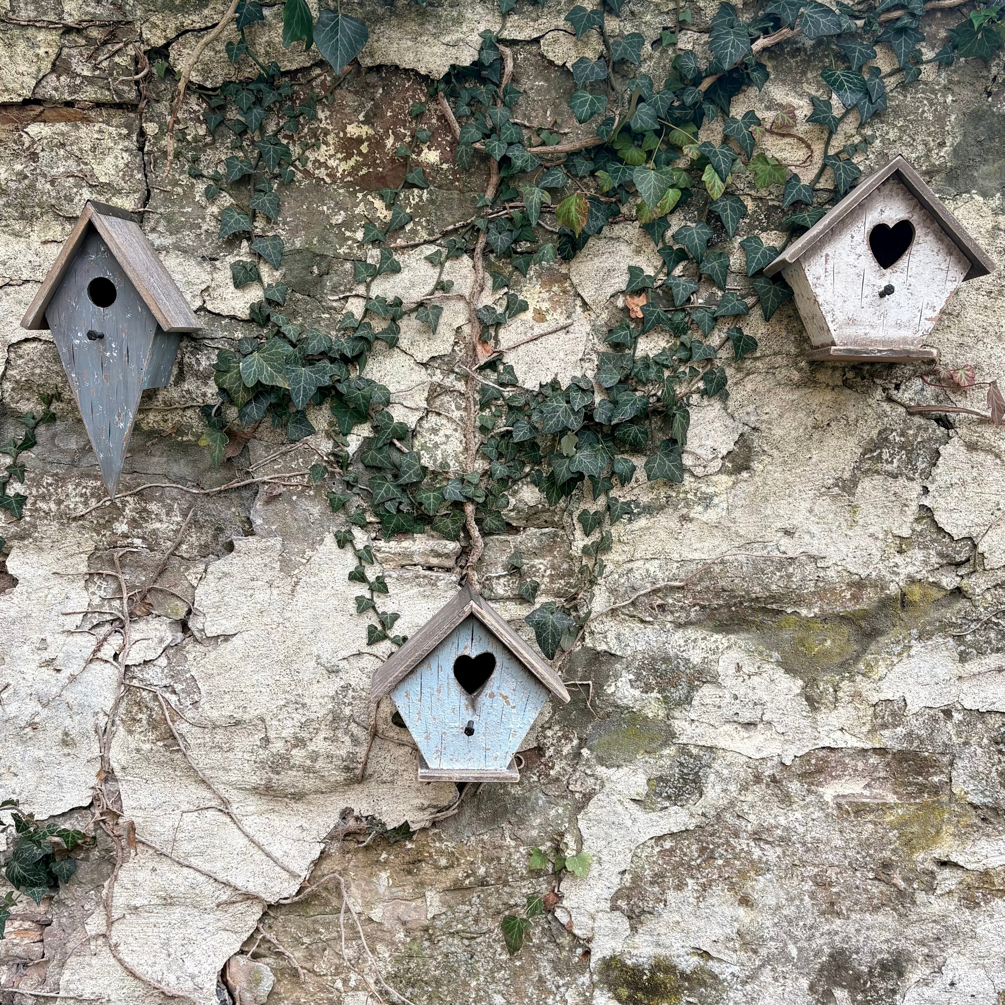 Lovebirds Birdhouse - White