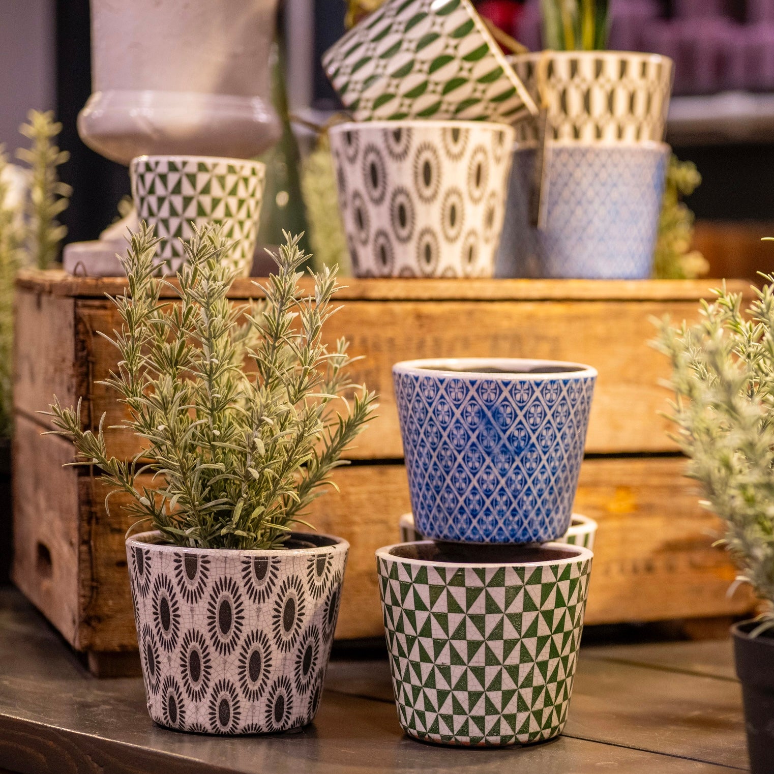 Arta Plant Pot