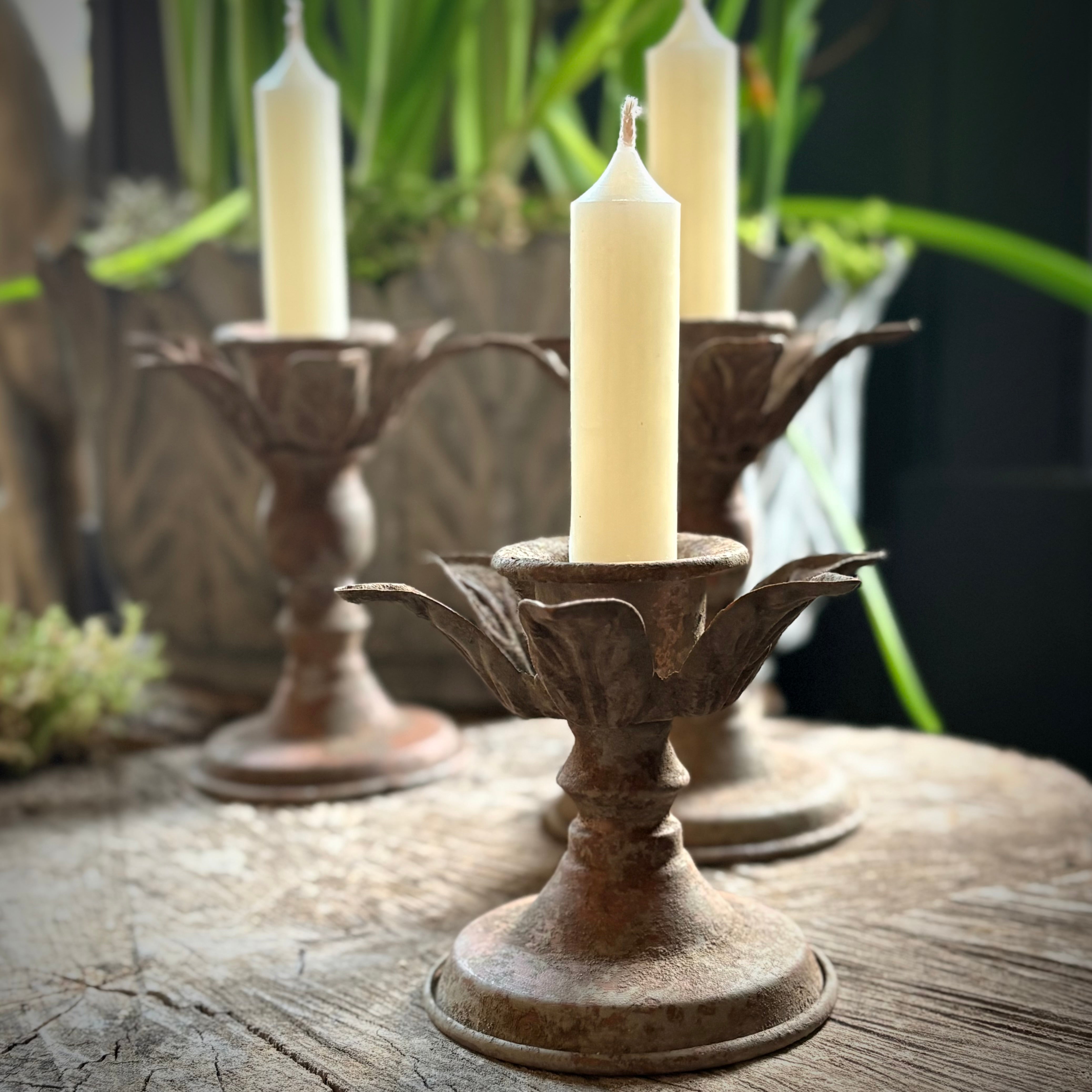 Hortus Candlestick