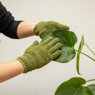 Plant Dusting Gloves