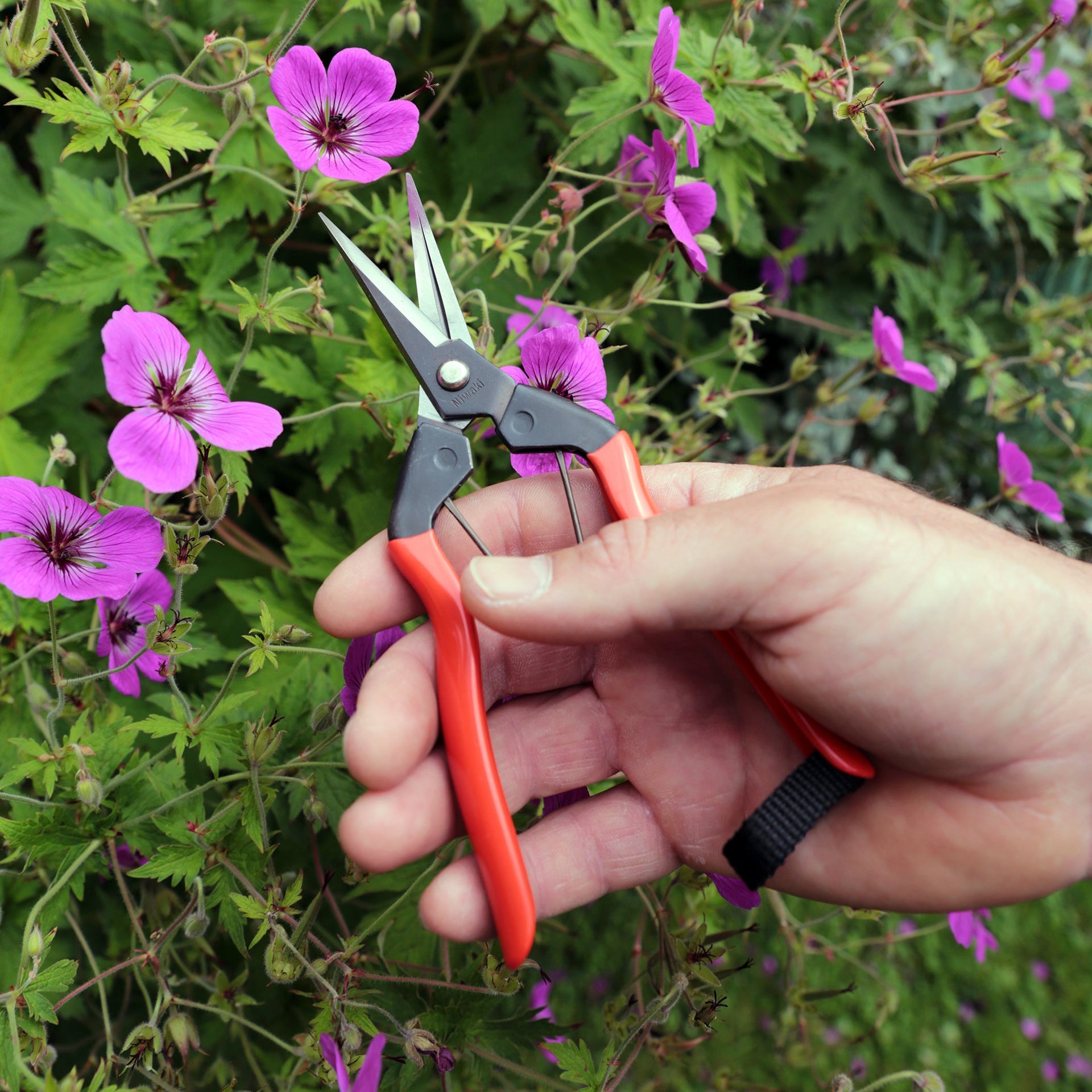 Niwaki Garden Snips