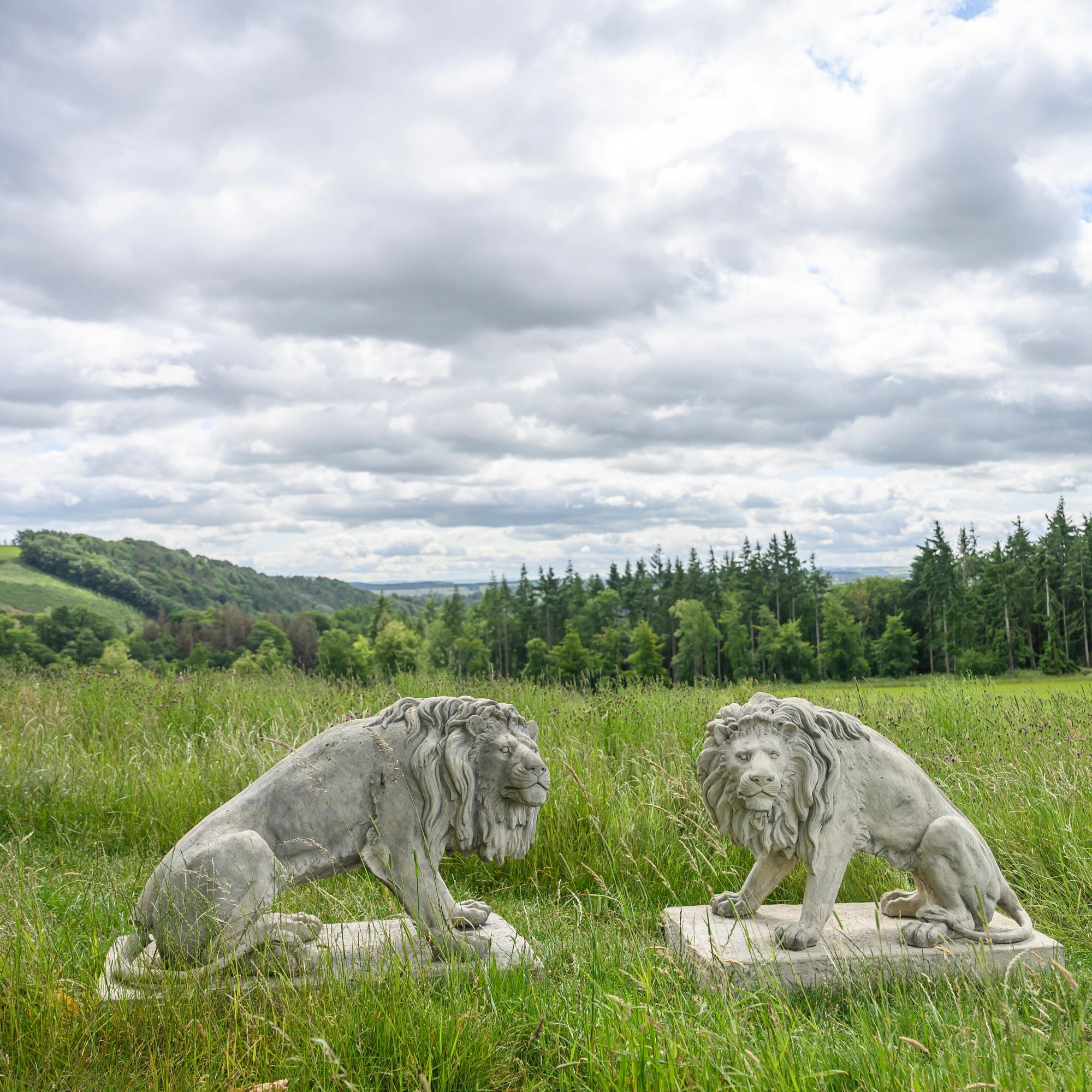 Pair Of Seated Lions