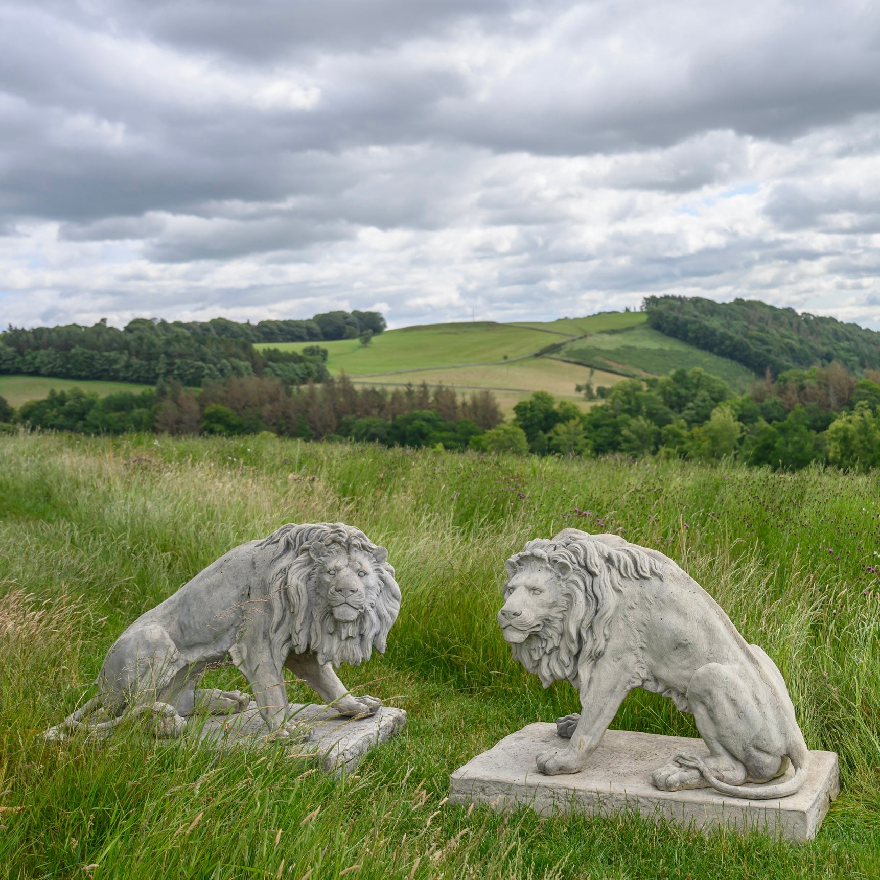 Pair Of Seated Lions