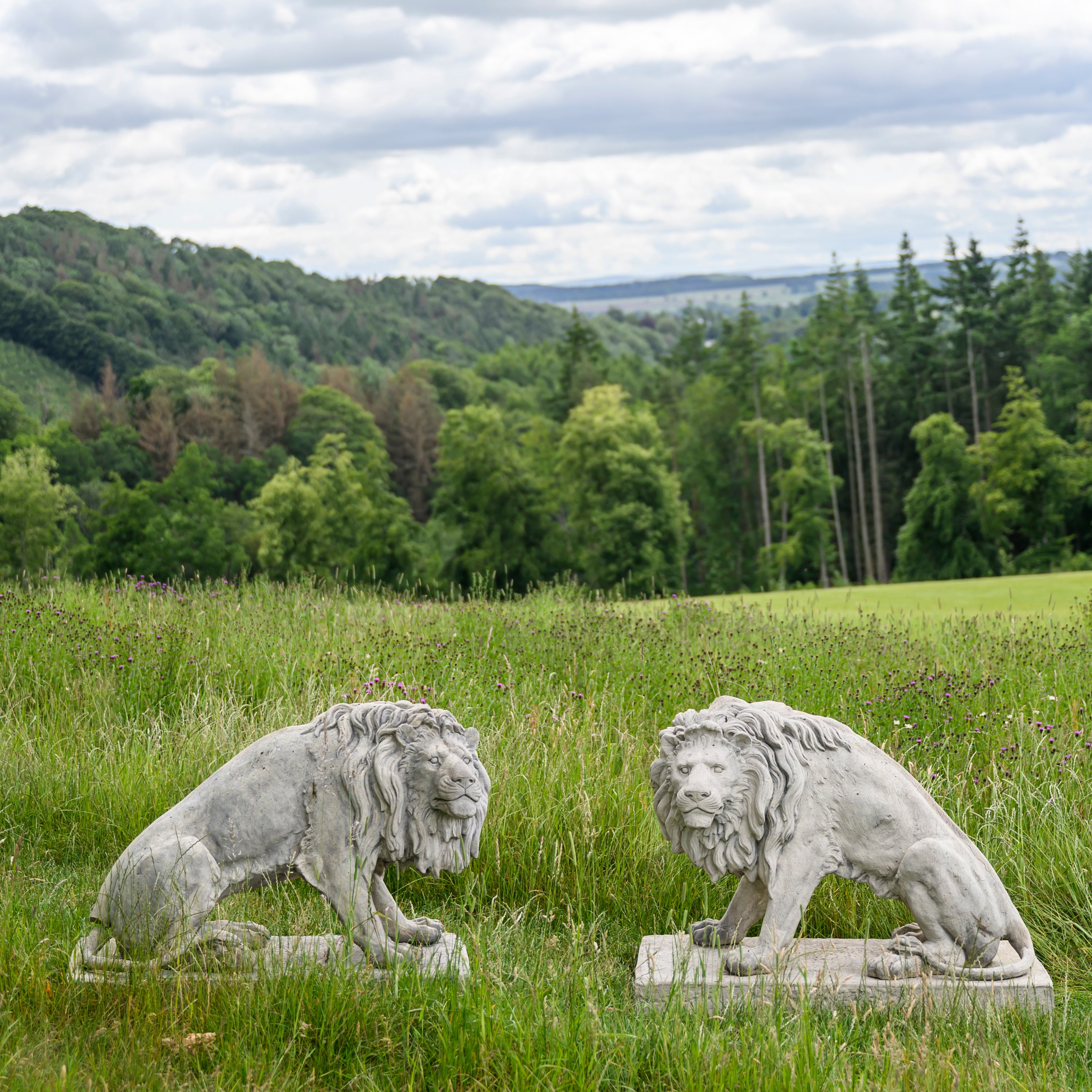 Pair Of Seated Lions