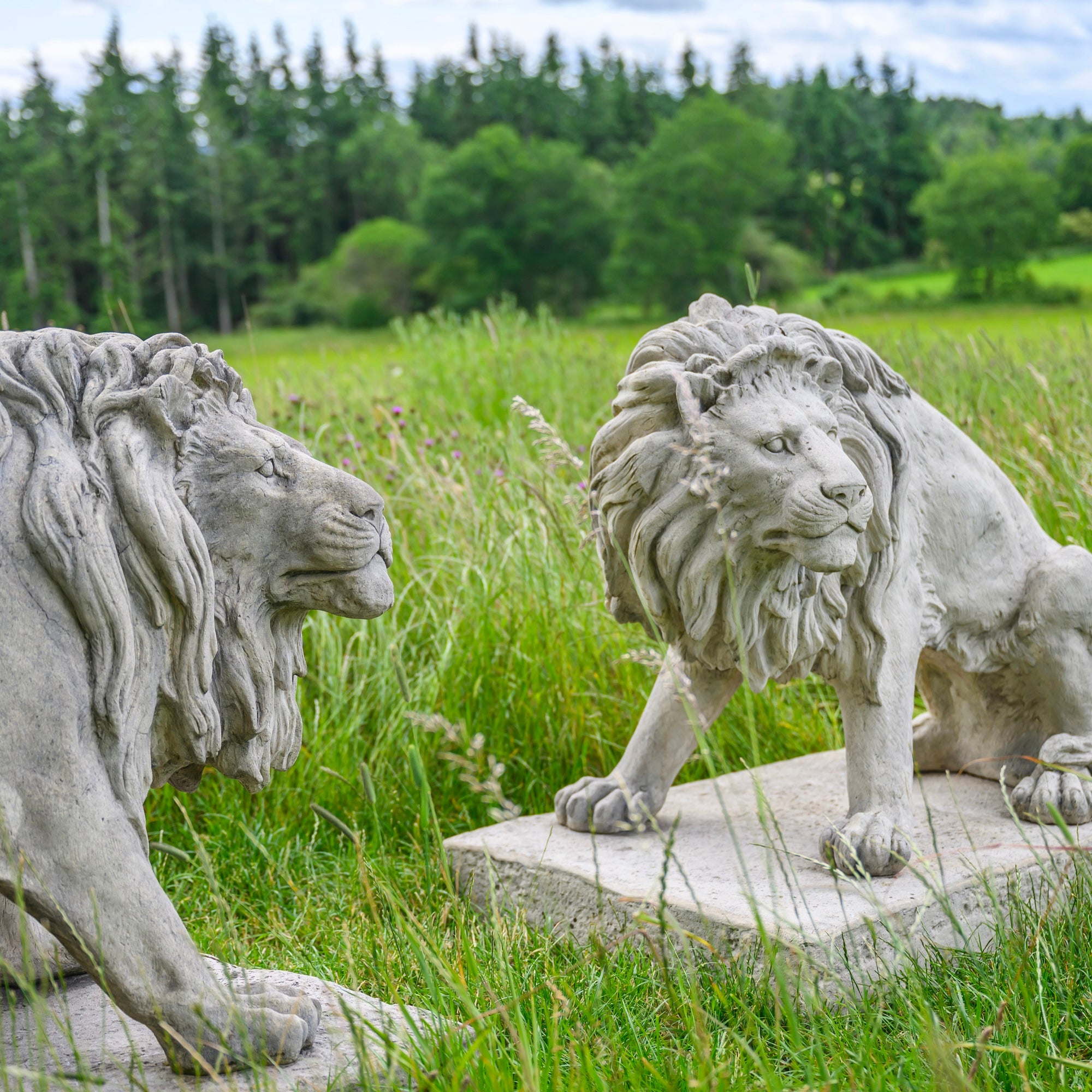 Pair Of Seated Lions