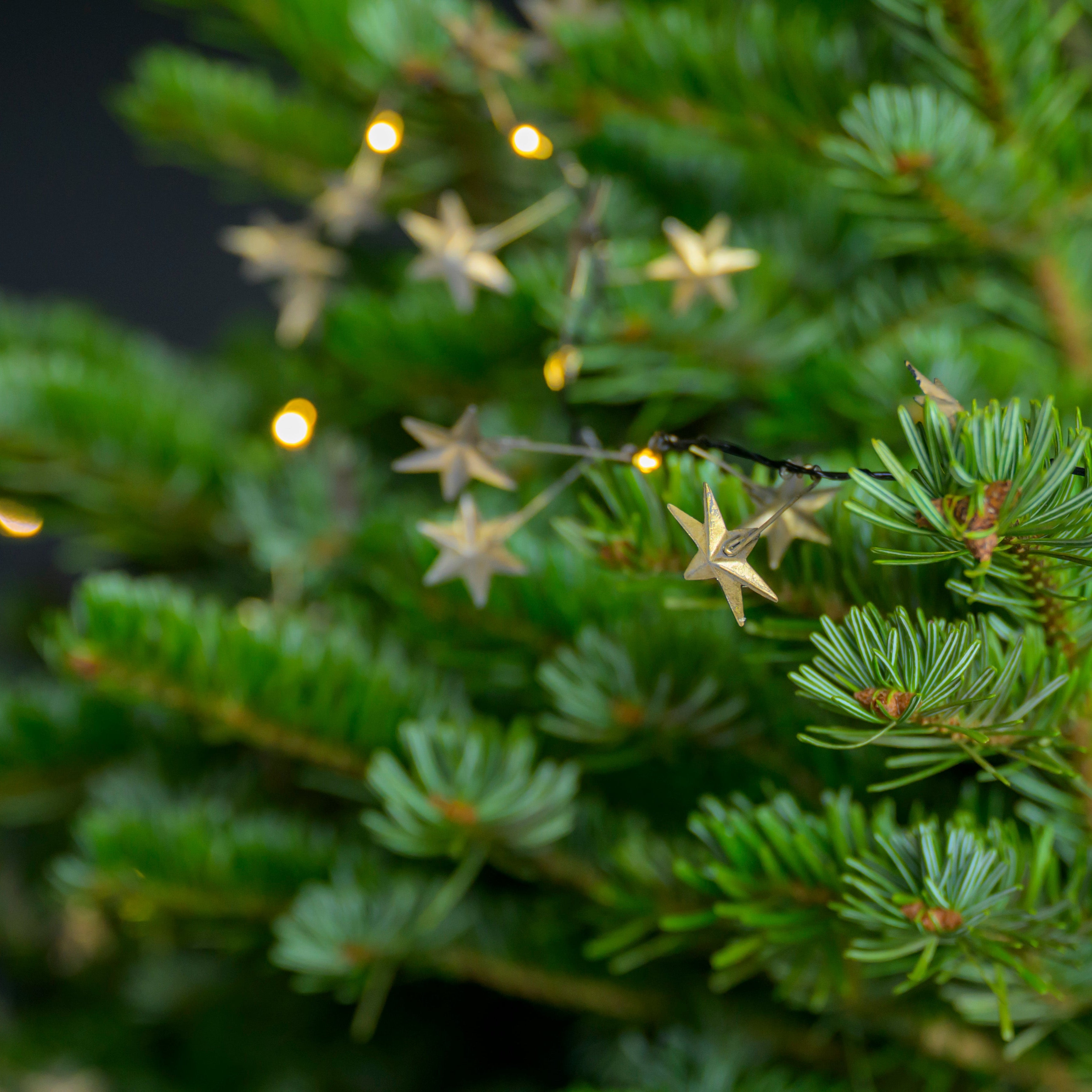 Illuminated Golden Star Garland