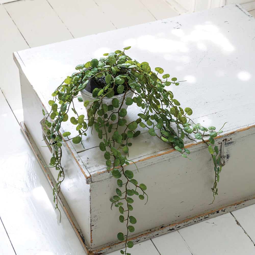 Artificial String of Pearls plant in Pot