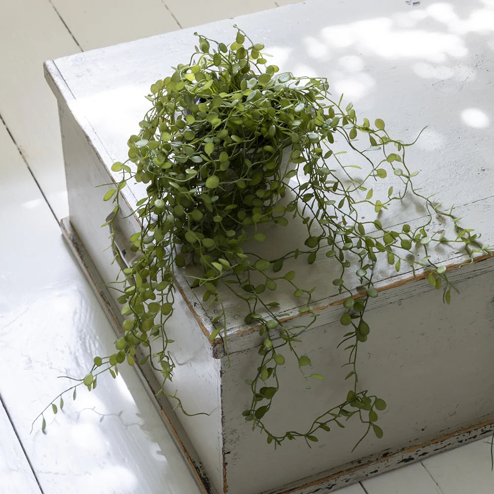 String of Nickels in Pot
