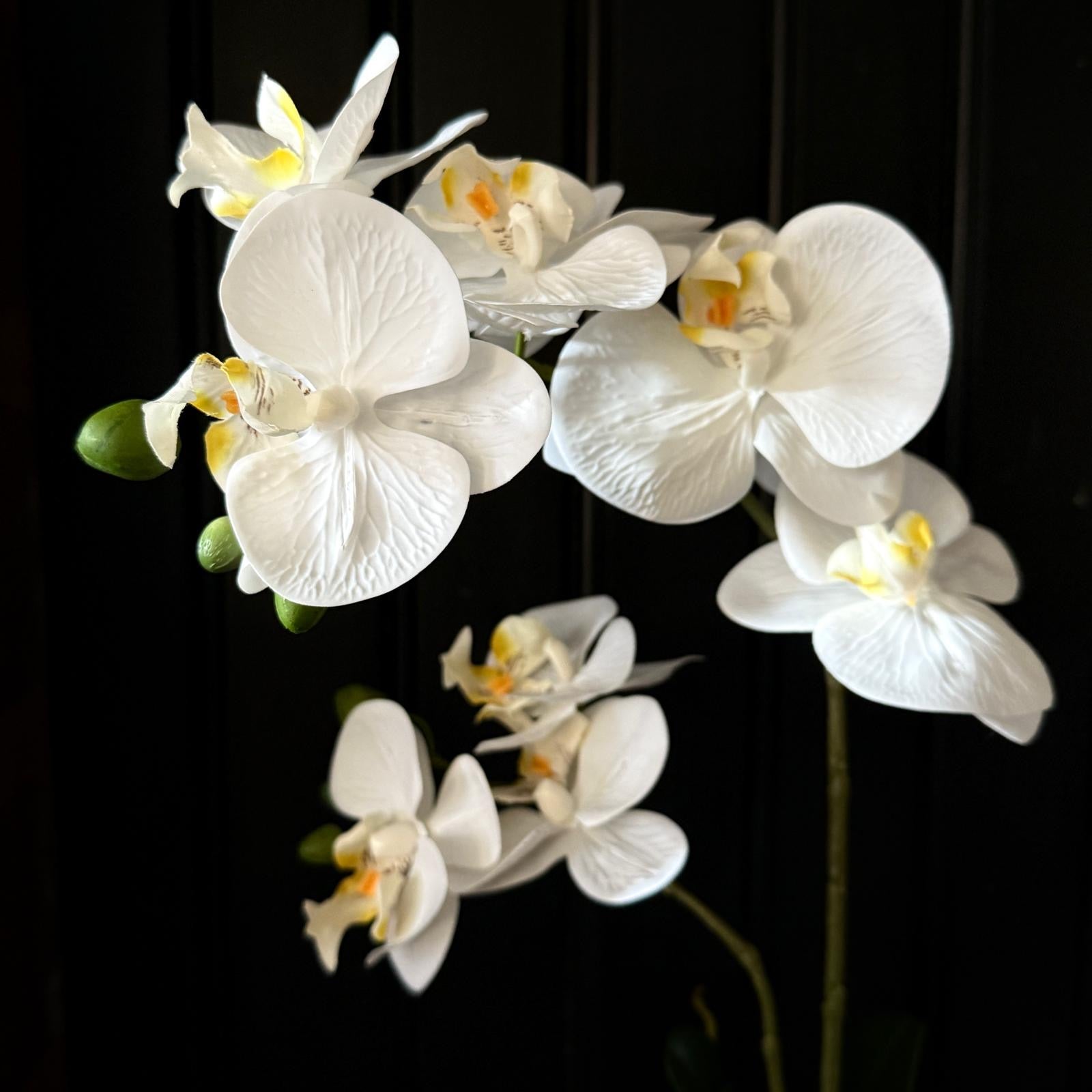 Artificial Orchid in Pot