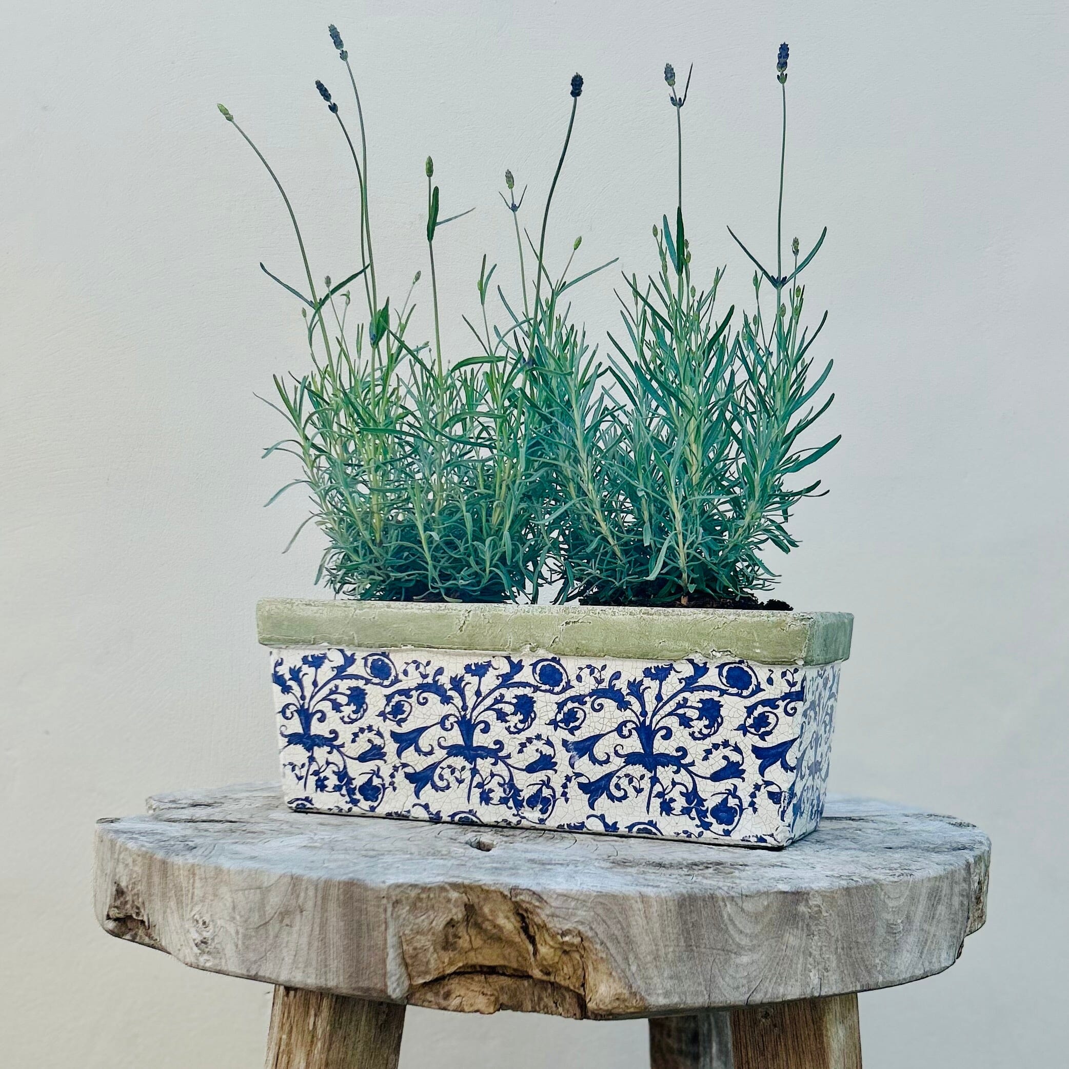 Aged Ceramic Trough Glazed Trough Fallen Fruits 