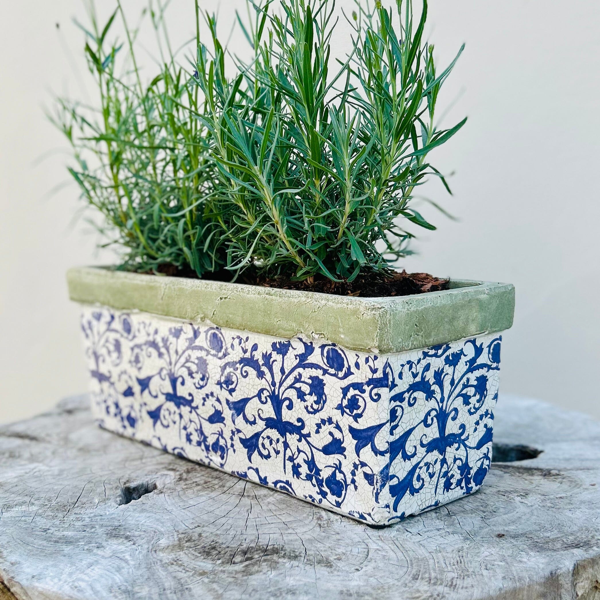 Aged Ceramic Trough Glazed Trough Fallen Fruits 