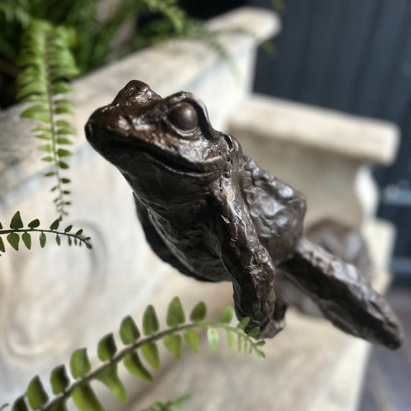 Bronze Frog Sculpture Henderson's 