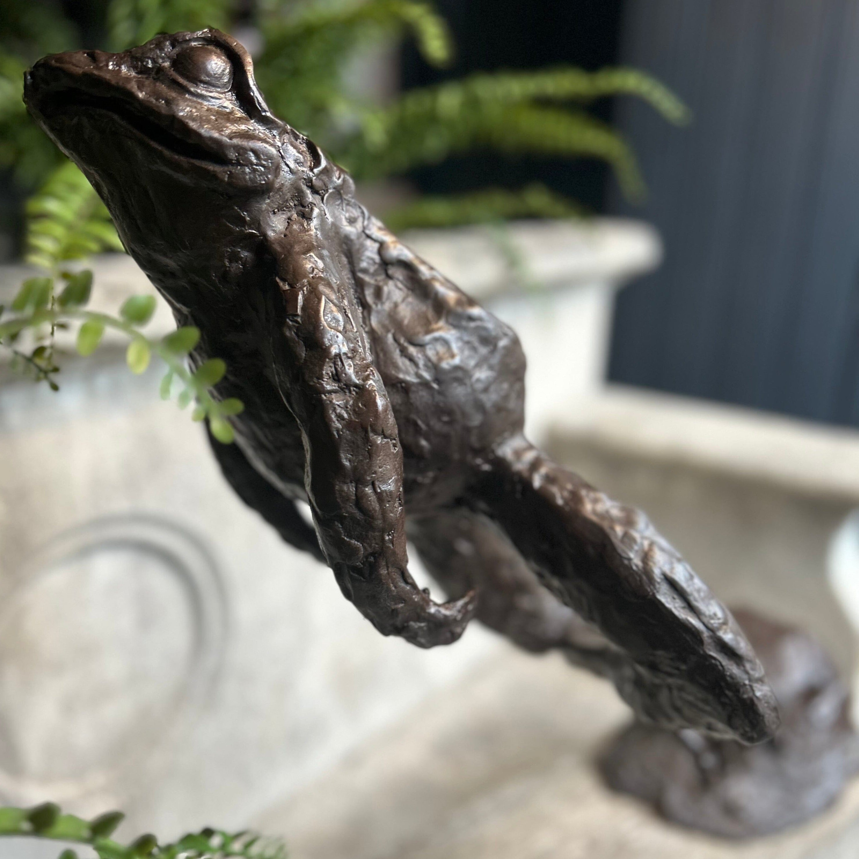 Bronze Frog Sculpture Henderson's 