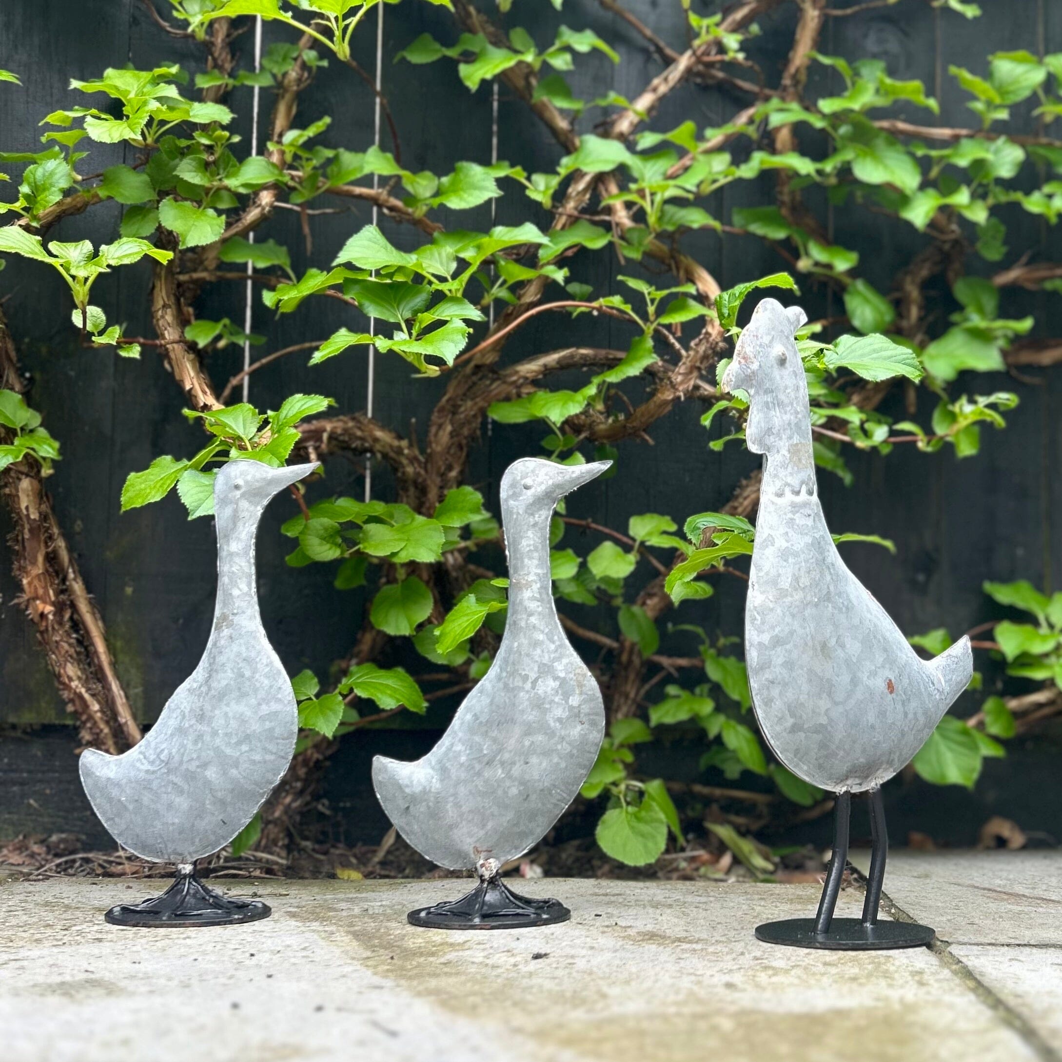 Handcrafted Metal Bird Sculpture Metal Bird Sculpture Henderson's 