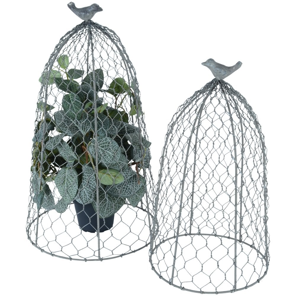 Decorative Garden Cloche