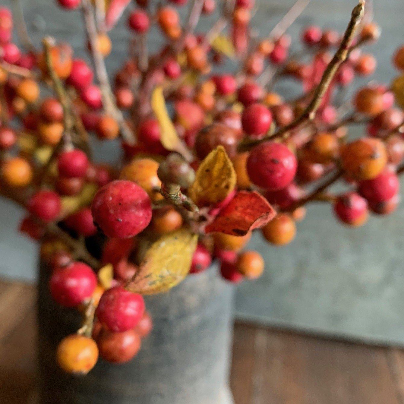 Autumn Hedgerow Berry Faux Stem Henderson's 