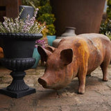 Cast Iron Farmyard Pig Garden Ornament Henderson's 