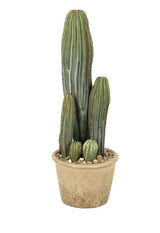 Cereus Cactus Faux Plant Henderson's 