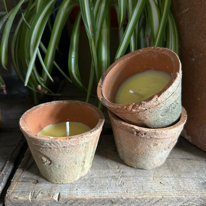 Citronella Candle In Terracotta Pot | Insect repellant | Henderson's