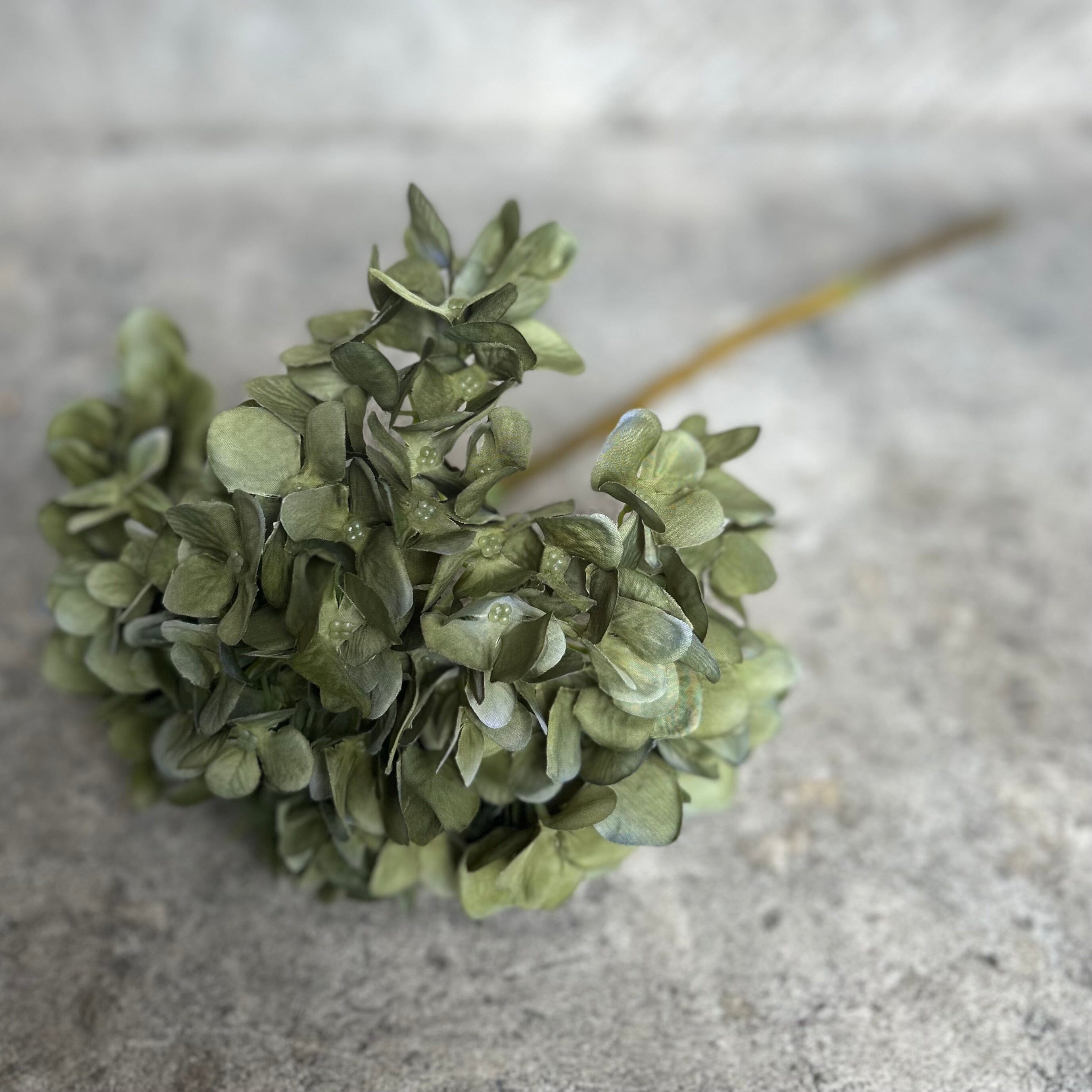 Faux Olive Hydrangea Stem Artificial Flora Henderson's 