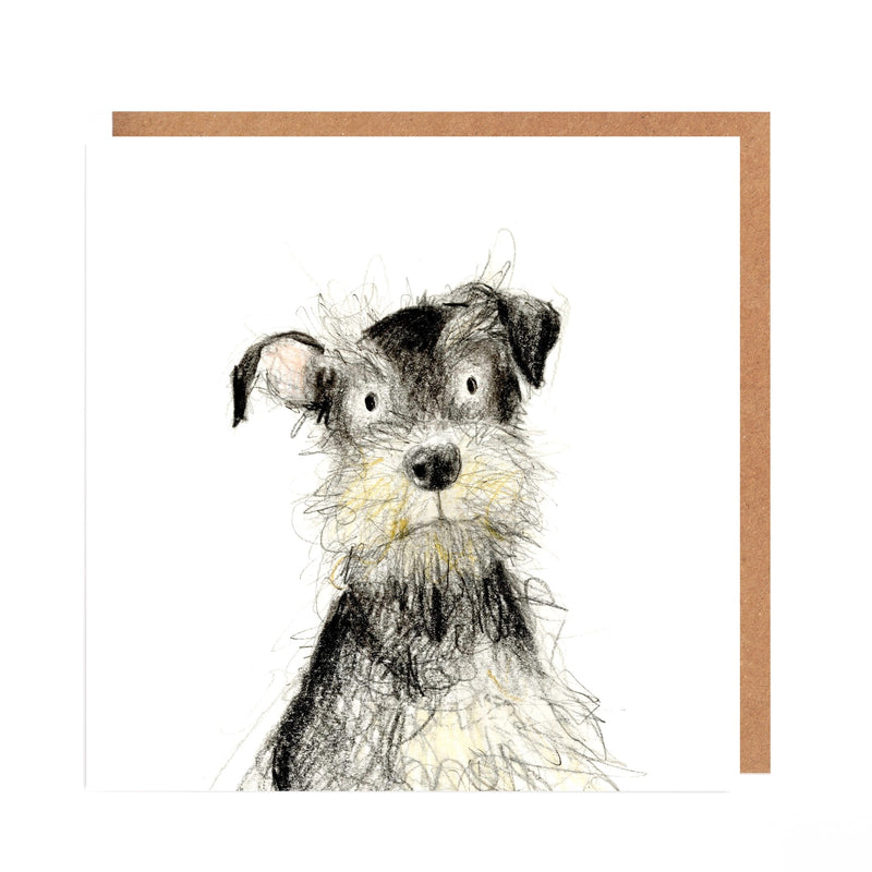 Greetings Cards By Catherine Rayner Greetings card Henderson's Cyril Schnauzer Dog 