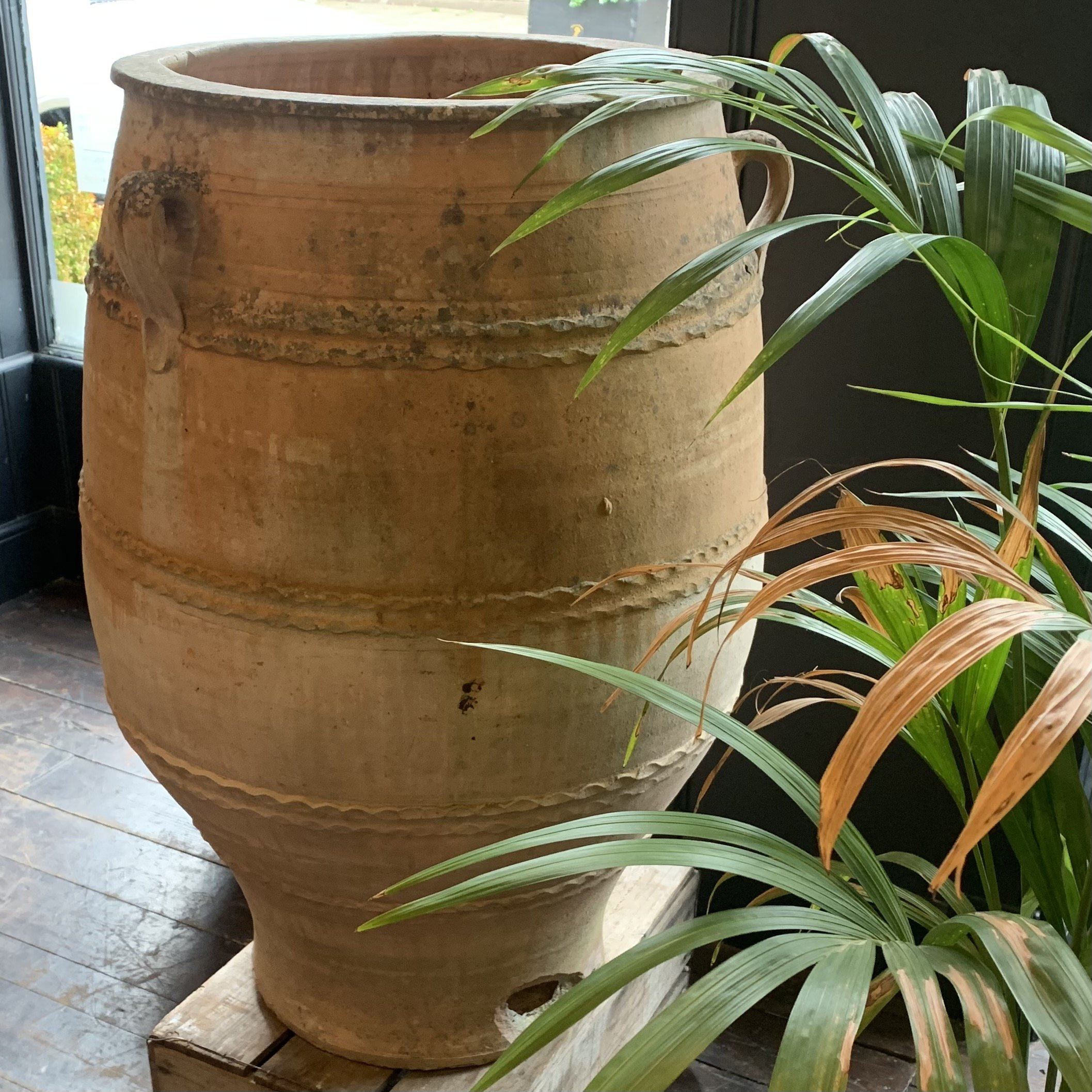 Large Terracotta Pot Garden Pot Henderson's 