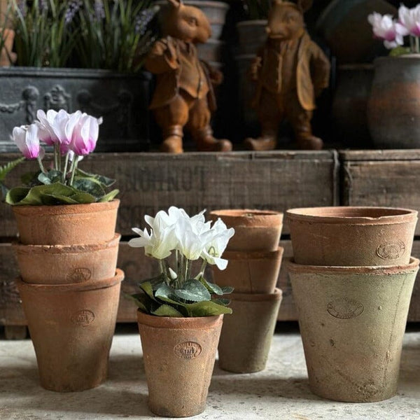 Small Terracotta Plant Pot Terracotta Plant Pot Henderson's 