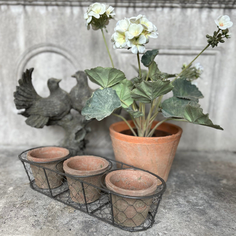 Trio Of Aged Terracotta Pots In Wire Basket Terracotta Pots Henderson's 