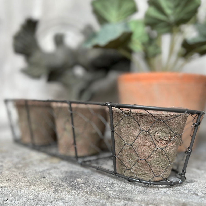 Trio Of Aged Terracotta Pots In Wire Basket Terracotta Pots Henderson's 