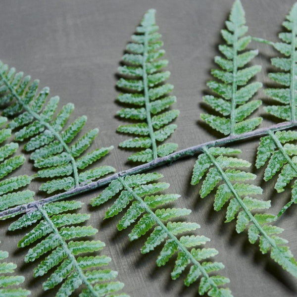 Woodland Fern Faux Stem Henderson's 